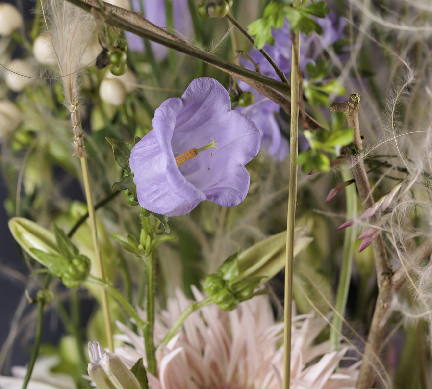 Souffle d’été