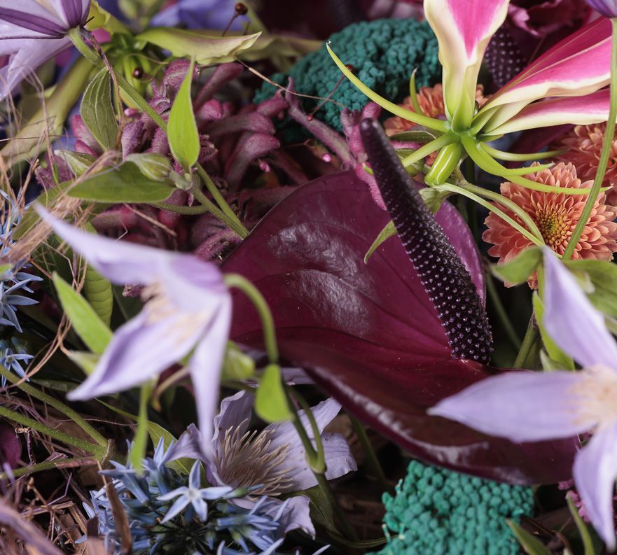Papillons