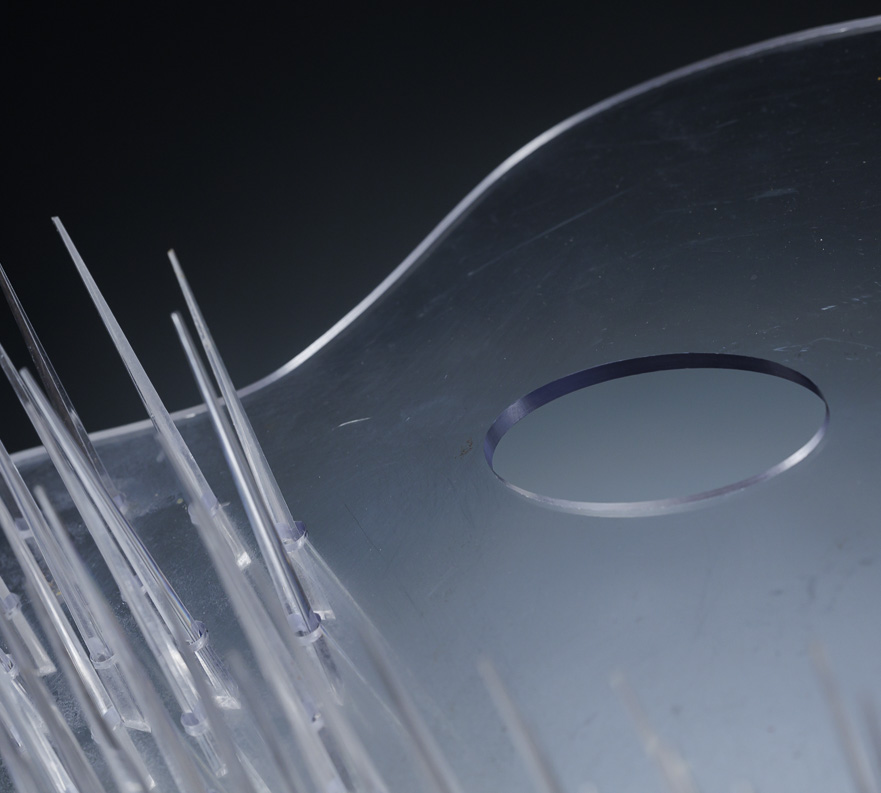 Pinta'm com una de les teves noies franceses