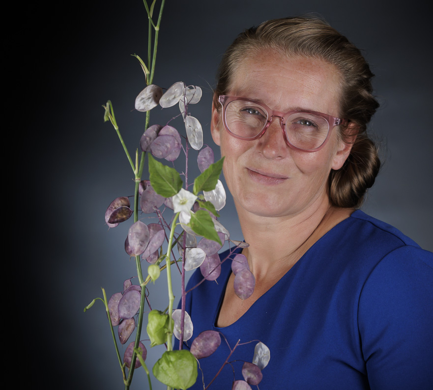 “Purple moon” Lunaria 