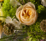 Bouquet nórdico