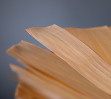 Metallic plate of wood