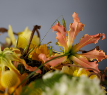 Kiwis bouquet